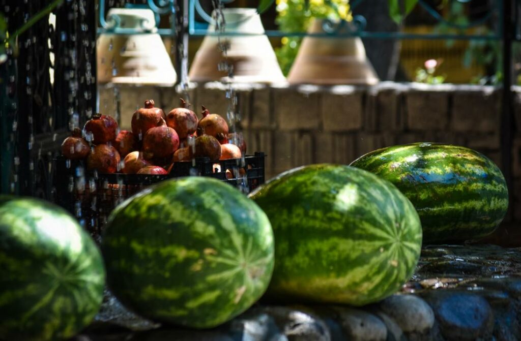 Казахстан стал основным импортером бахчевых из Узбекистана