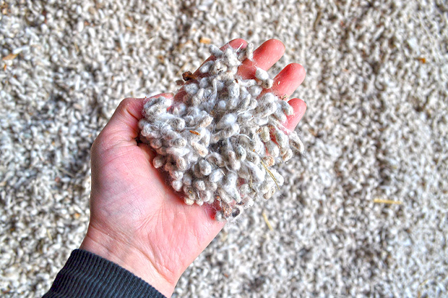 Антимонопольный комитет возбудил дело против хокимиятов трех областей