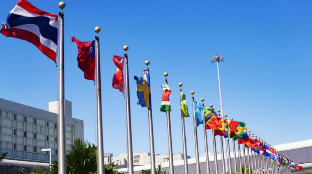 В ООН проголосовали за исключение каннабиса из списка наркотиков