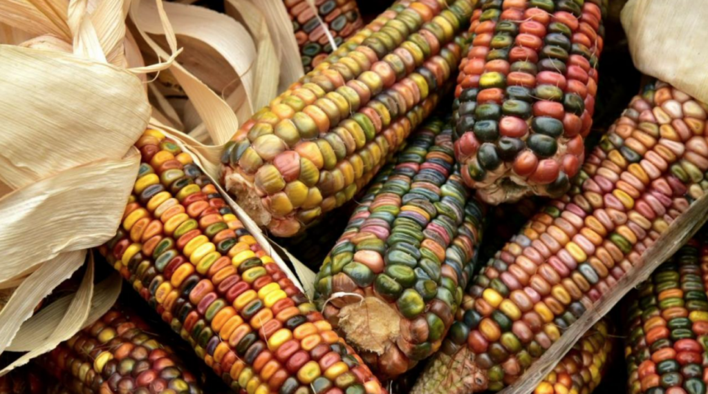 Торговая война принесла выгоду США и Китаю