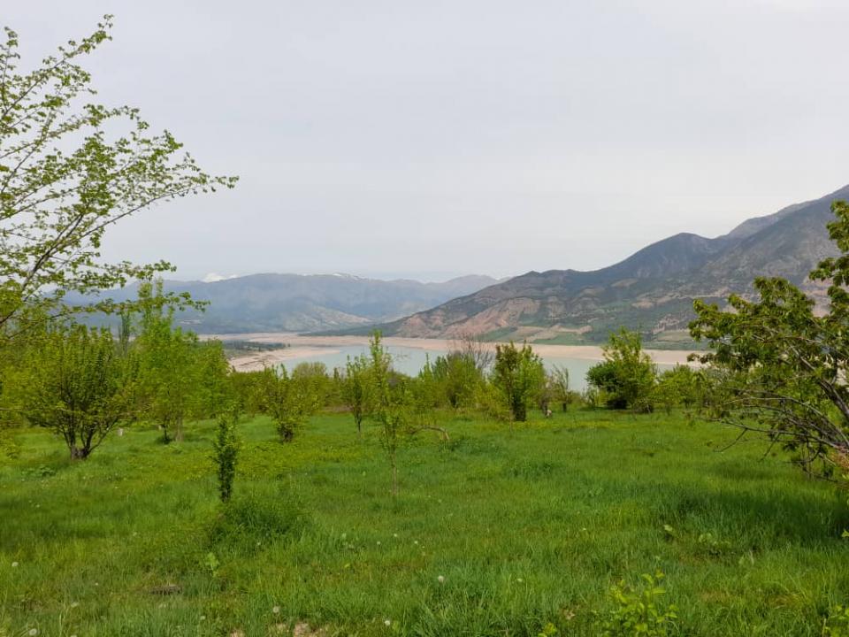 Госактивы вокруг Чарвака будут проданы на аукционе