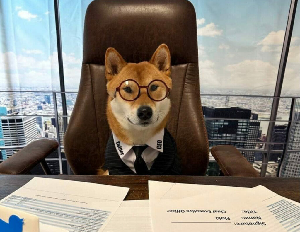 Илон Маск назначил своего питомца гендиректором Twitter