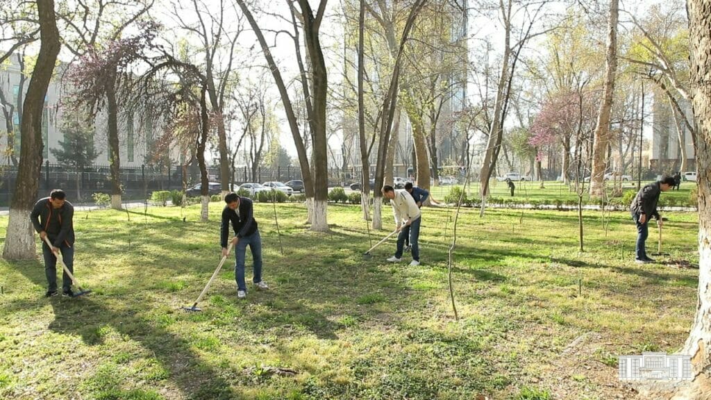 В Новом Ташкенте высадят 200 тыс. деревьев