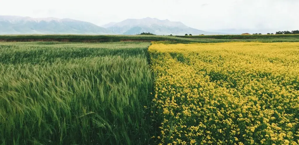 OTB: Markaziy Osiyo qishloq xo‘jaligiga katta sarmoyaga muhtoj bo‘ladi