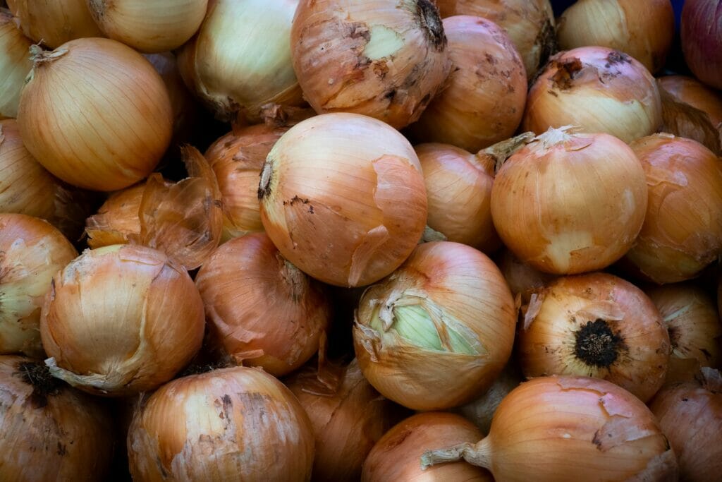 EastFruit: Узбекистан может начать экспорт лука в апреле