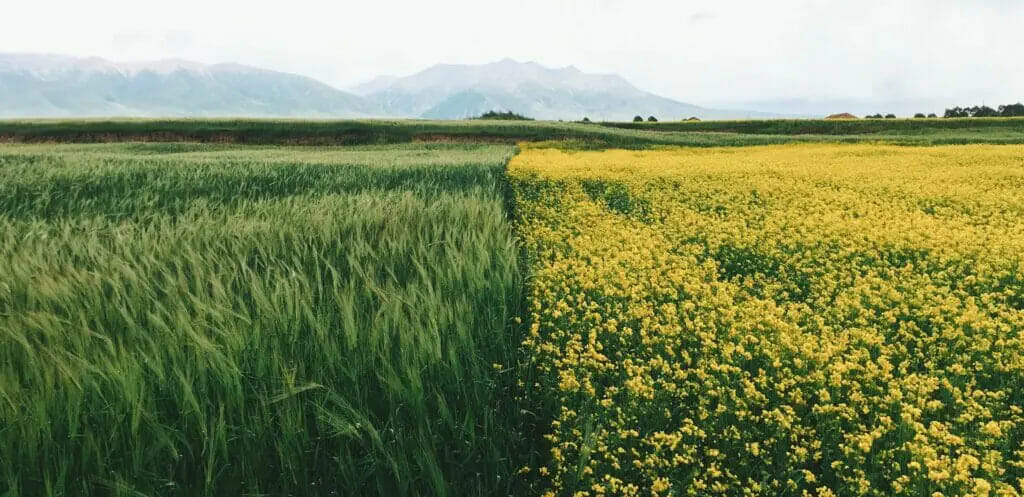 O‘zbekiston fermerlari suv yo‘qotishlari sabab yiliga 4,8 milliard dollar yo‘qotmoqda