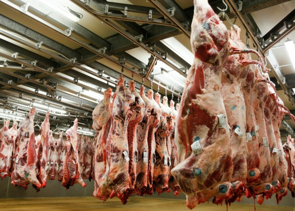 Узбекистан и Казахстан запустят мясоперерабатывающий комплекс