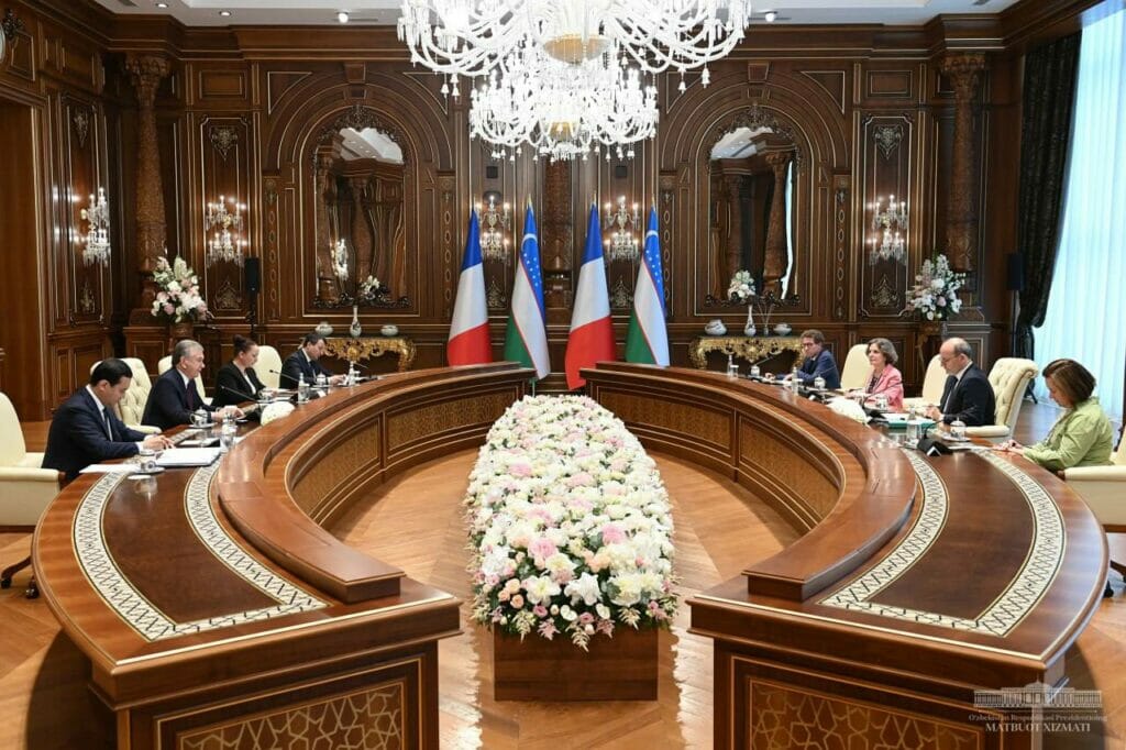 Мирзиёев принял главу Французского агентства развития