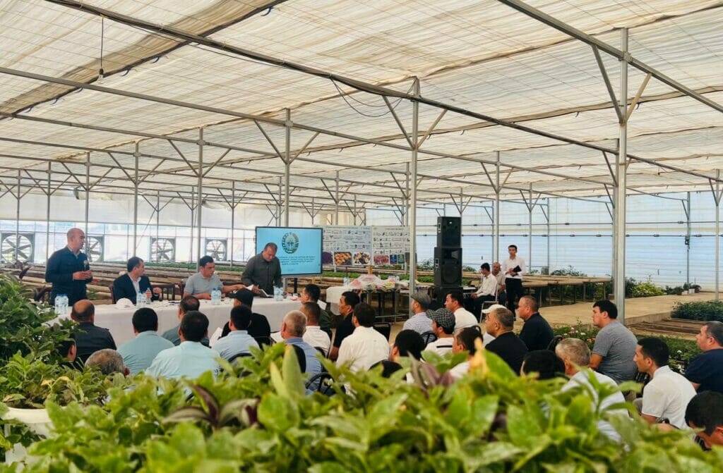 В Кашкадарье теплицы переводят с газа на уголь