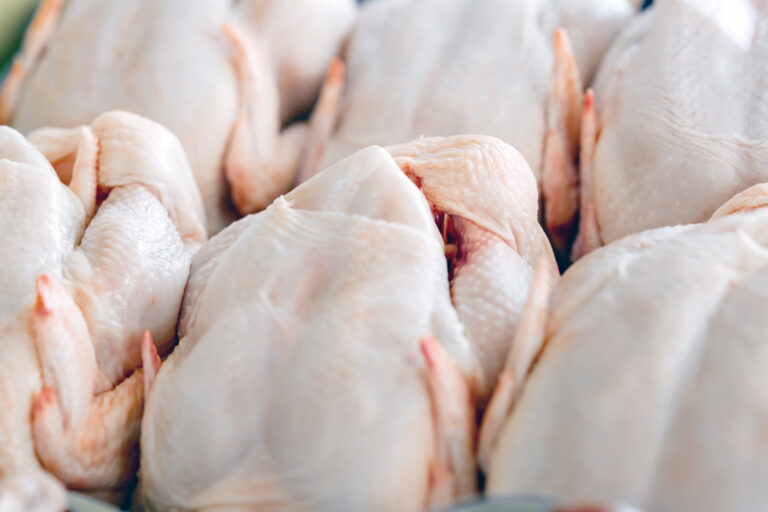В Узбекистане снимут ограничения на экспорт птичьего мяса