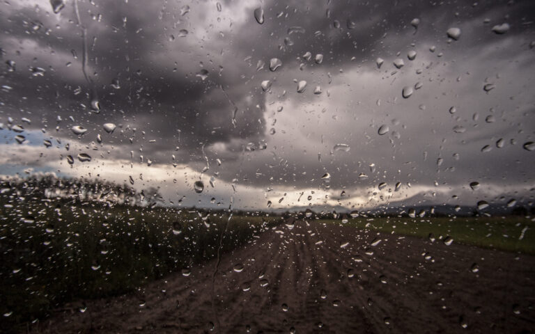 В Ташкенте ожидаются дожди и грозы