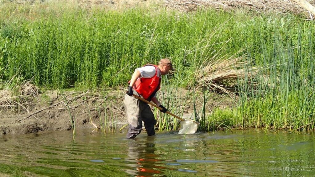 “O‘zbekiston Respublikasida xizmat ko‘rsatgan ekolog” faxriy unvonini ta’sis etish taklifi berildi