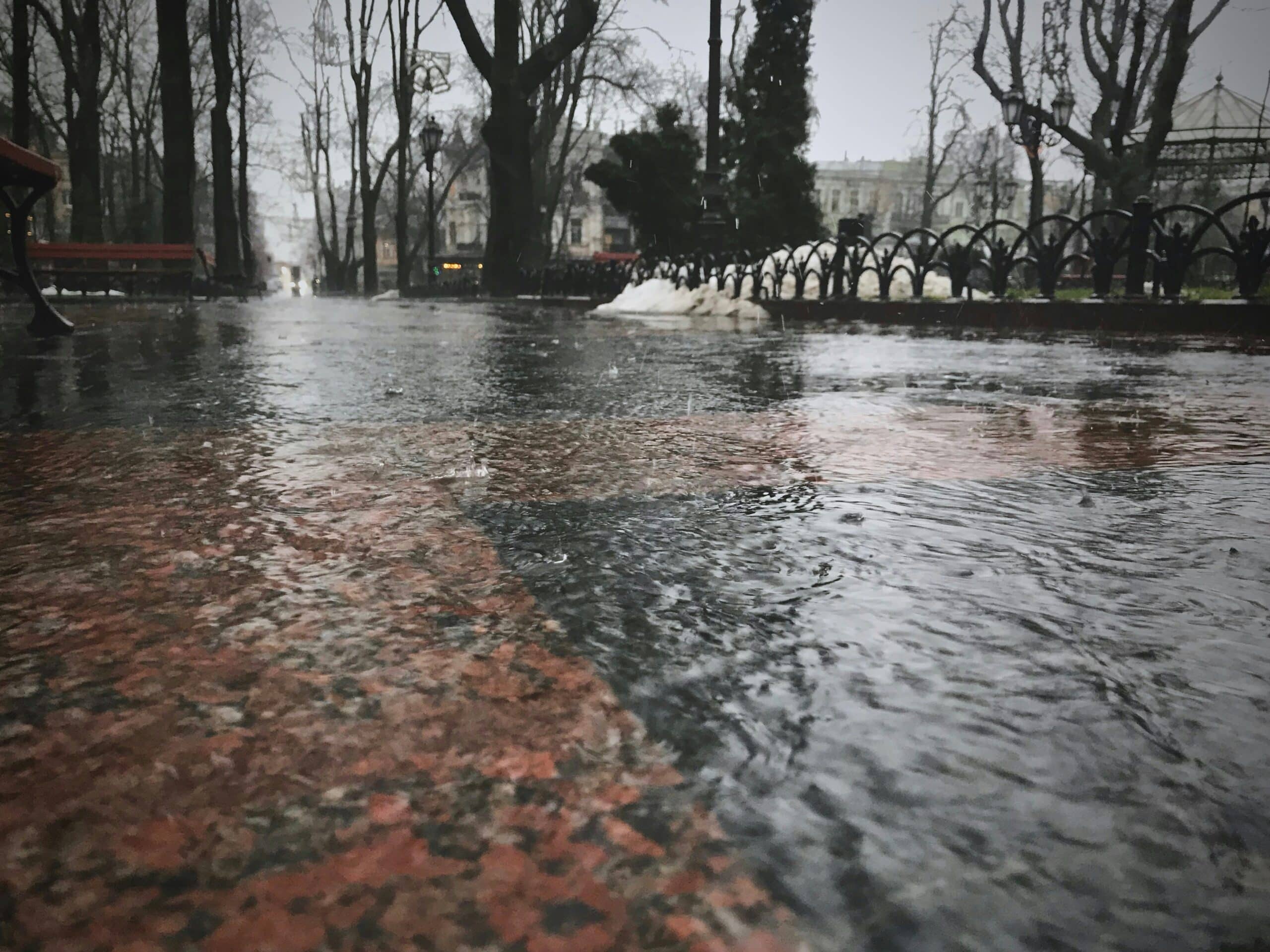 Дождь в парке
