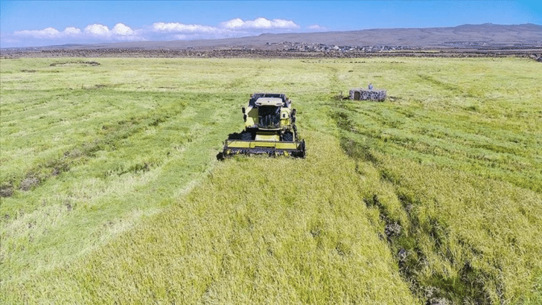 Agrotexnikalarni xarid qilish uchun subsidiyaga onlayn ariza topshirish imkoniyati yaratildi