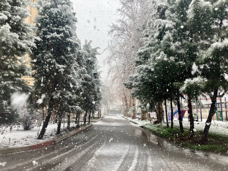 Qish mavsumi uchun ob‑havo prognozi e’lon qilindi: yanvarda anomal sovuq kutilmoqda