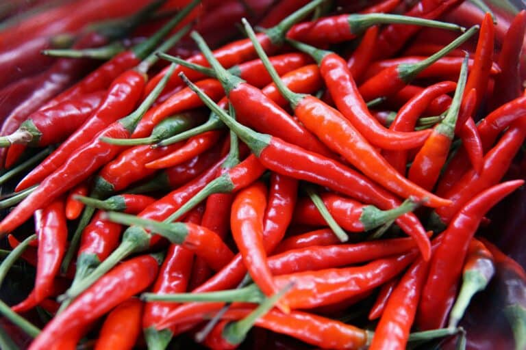 Uzbekistan Earns $8.9 Mn From Pepper Exports