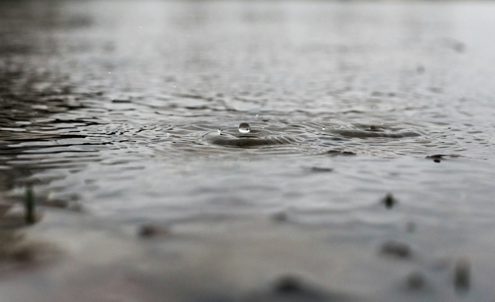 Капли дождя на поверхности воды