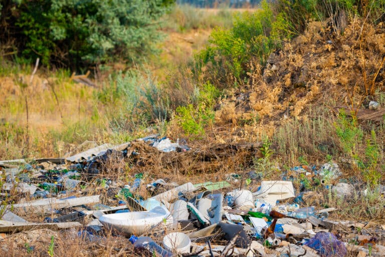 Transportdan chiqindi tashlaganlik uchun jarimalar oshiriladi