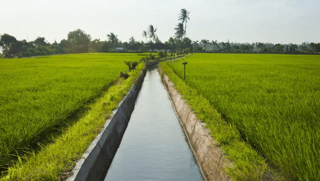 Jahon banki O‘zbekistonda sug‘orish tizimiga $200 million kredit beradi