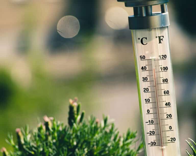 До +40° ожидается в Узбекистане