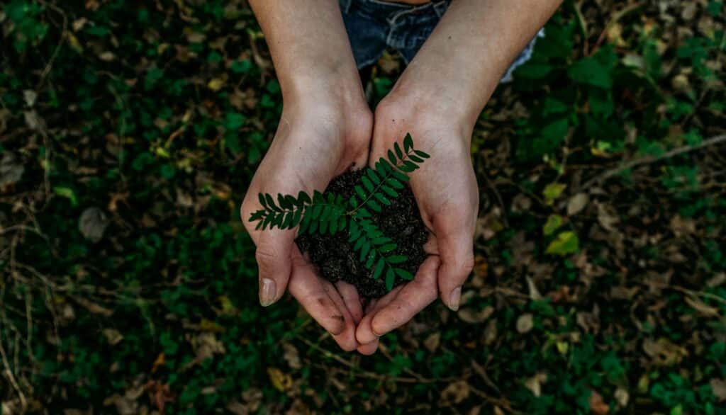 Фото: Unsplash