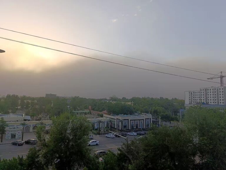 Экологи объяснили, почему в Ташкенте возникла пыльная буря