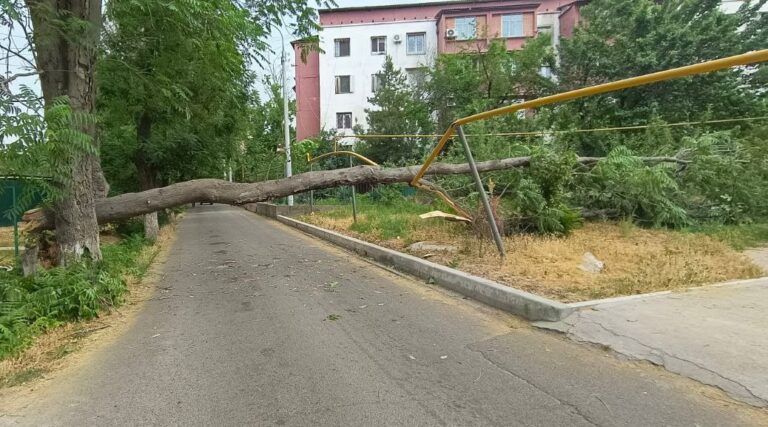 Хокимият предупредил ташкентцев о сильном ветре