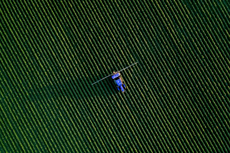 Мирзиёев раскритиковал работу предприятий Agrostar