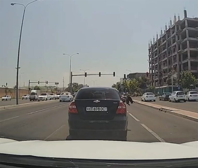 Toshkentda mushukni avtomobildan uloqtirgani uchun haydovchi javobgarlikka tortildi