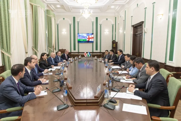 Uzbekistan Seeks Georgian Partnership in Strategic Railway Link