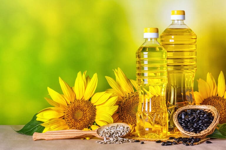 Uzbek Investor to Build $75 Mln Oil Plant in Kazakhstan’s Kostanay Region