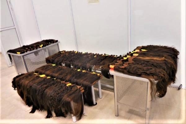 Узбекистанка пыталась ввезти в Волгоград почти 41 кг человеческих волос