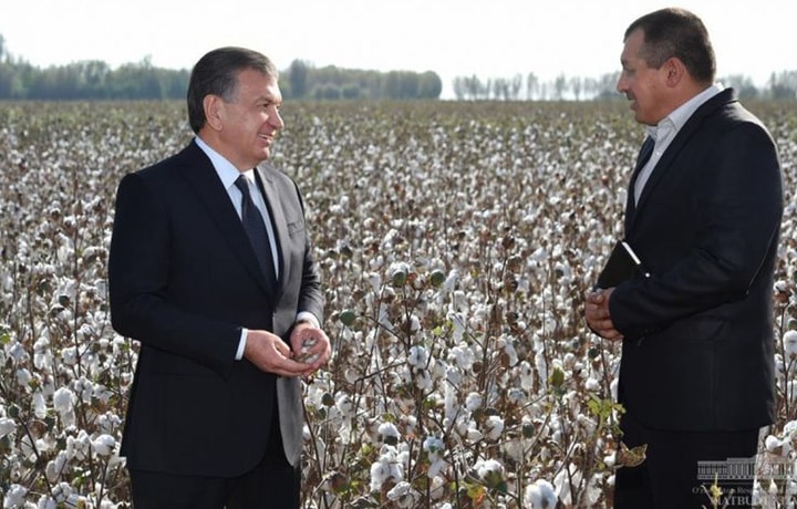 Mirziyoyev cotton