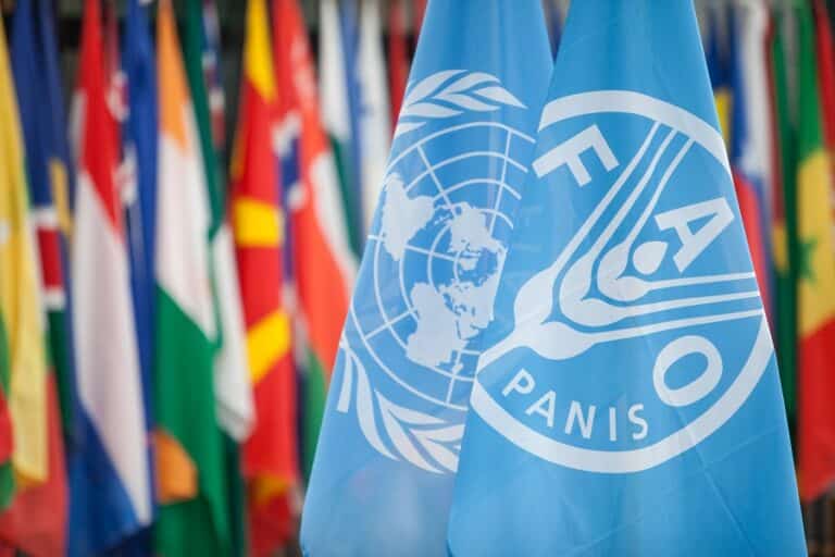 Uzbekistan Elected to FAO Council for First Time