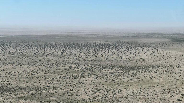 Kazakh Minister Reviews Progress on Aral Sea Reforestation