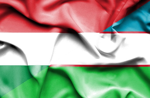 Uzbekistan and Hungary Boost Road Transport Ties
