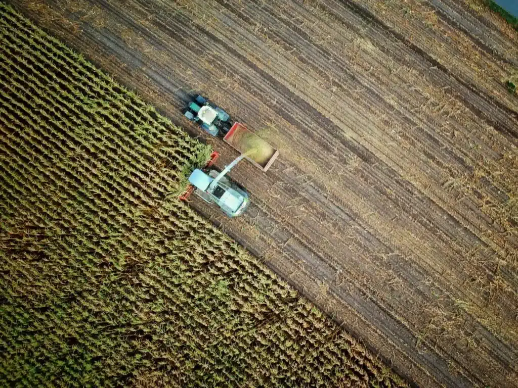 fao, food, agriculture