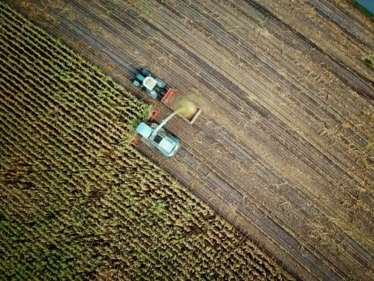 Uzbekistan Prepares for First Joint Census of Population and Agriculture