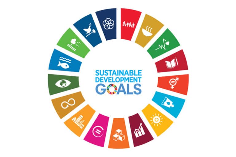 Uzbekistan Ranks 62nd in 2025 SDG Ranking, Leading Central Asia
