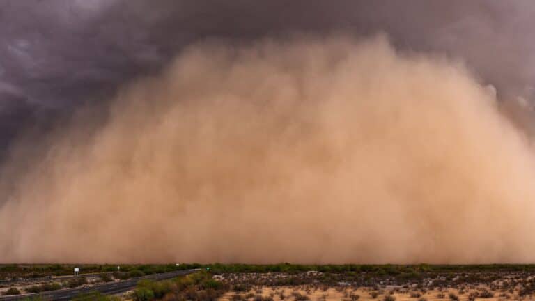UN Sounds Alarm Over Rising Global Impact of Dust and Sand Storms
