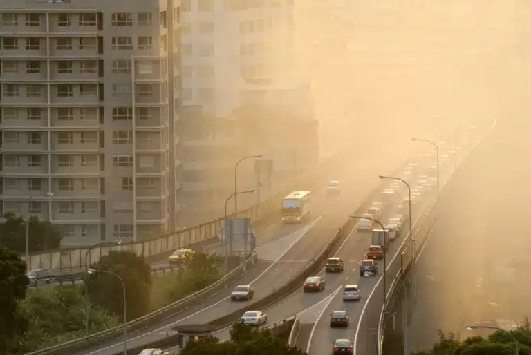 Tashkent Air Quality on August 20: PM2.5 Levels Exceed Safety Limit