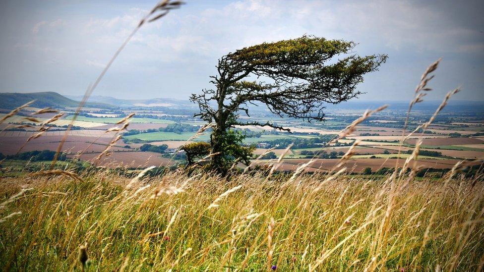 windy weather Conditions