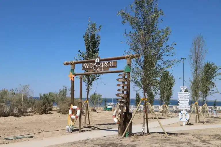 Туркластер на Айдаркуле планируют открыть в ноябре