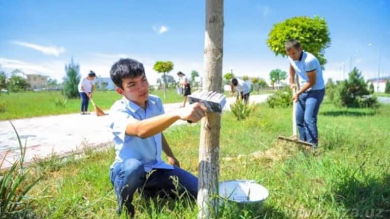 Единым фронтом: Всенародный хашар проведут в Узбекистане