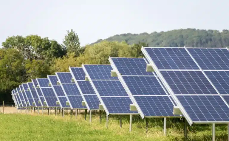 Solar Panels Generate 875 Mln kWh in Uzbekistan