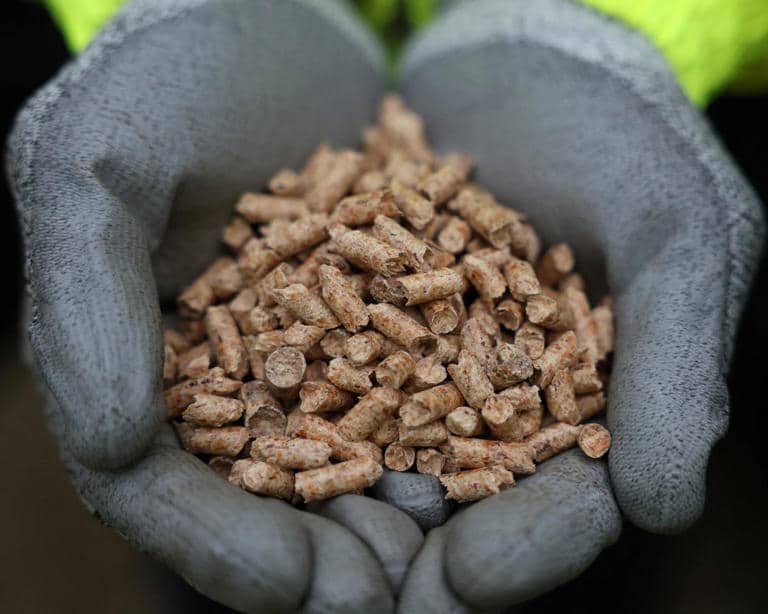 Drax faces FCA probe over biomass sourcing claims