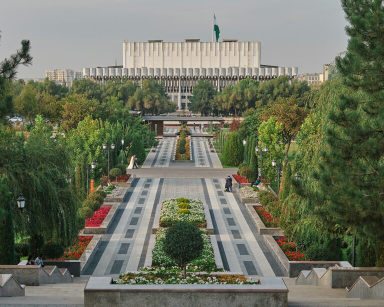 Уровень озеленения в городах Узбекистана доведут до 30%