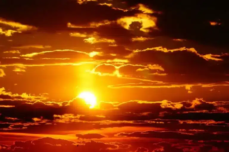 July 2025 Among Hottest on Record Across Most of Uzbekistan