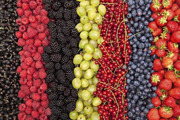 Uzbekistan Produces Over 1.1 Mln Tonnes of Fruit and Berries in H1 2025