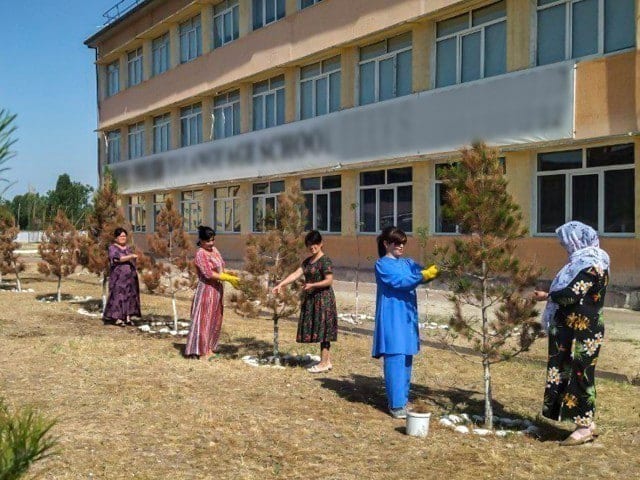 Maktab va bog‘chalarda majburiy mehnatga qarshi reydlar o‘tkaziladi